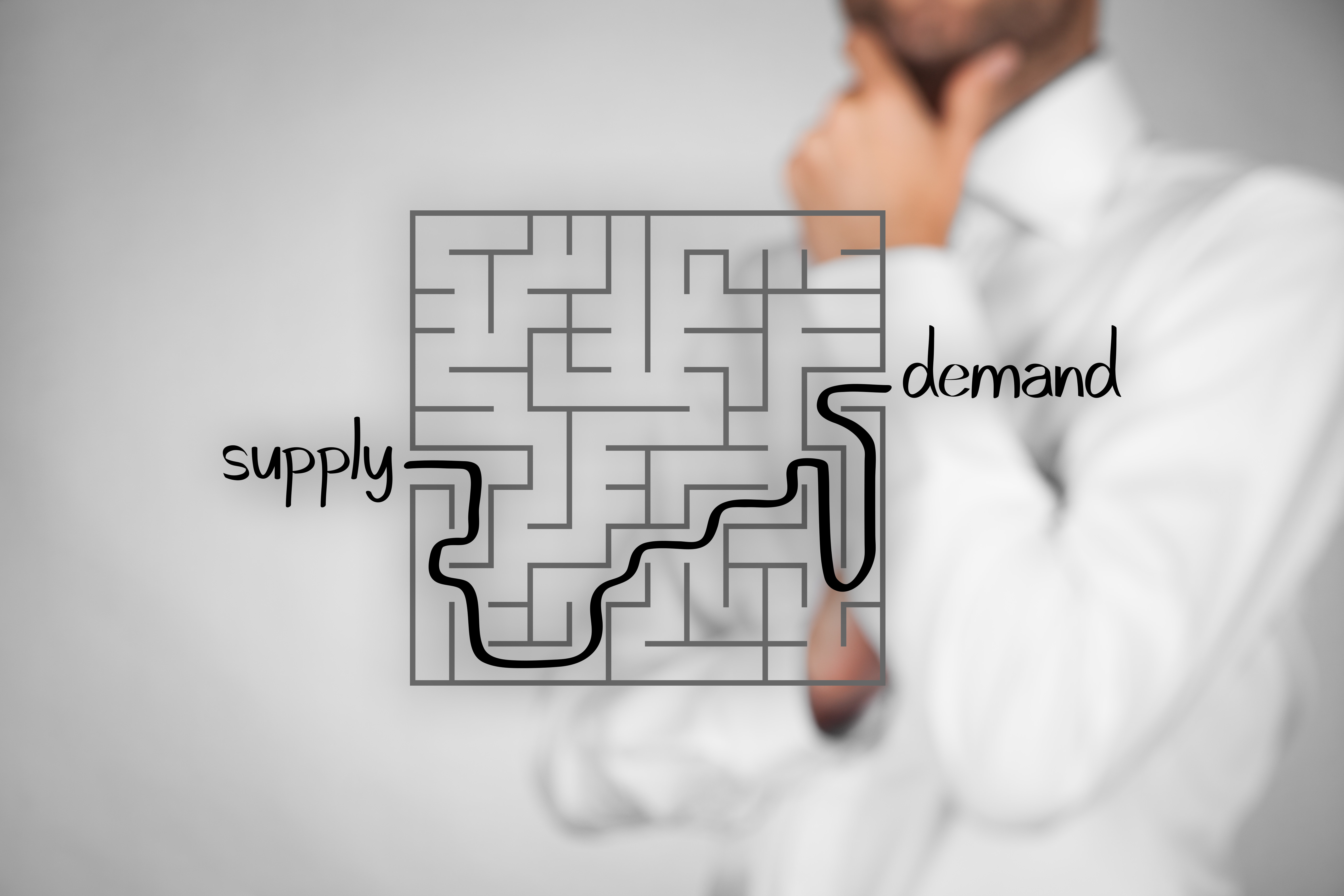 Supply and Demand Maze1.jpeg